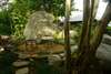 Kamalaya Resort 